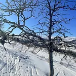 Awesome In * Tjorhom